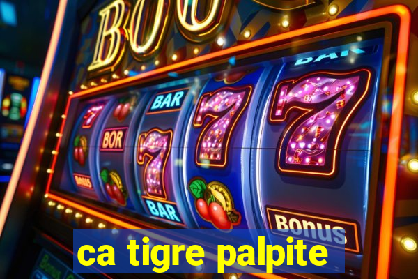 ca tigre palpite